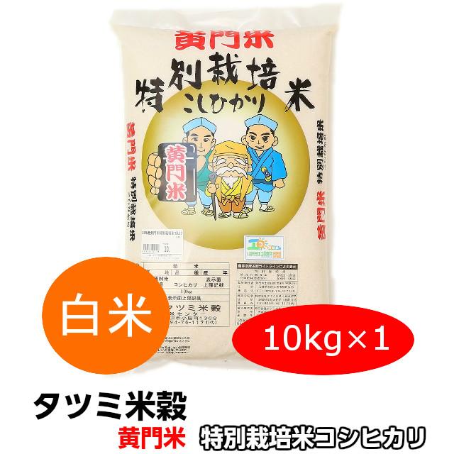 爆買 新米 10kg 米 コシヒカリ こしひかり 黄門米 特別栽培米 白米 令