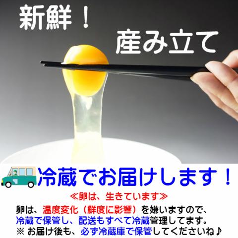 卵 やさと 産直たまご L30個 ギフト 産地直送 安全安心 産み立て タマゴ たまご 玉子 茨城 お取り寄せ｜oishiine-ibaraki｜03