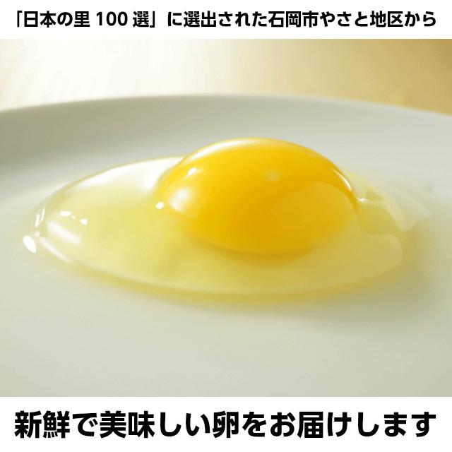 初回限定 卵 やさと 産直たまご M20個 産地直送 安全安心 産み立て タマゴ たまご 玉子 茨城 お取り寄せ｜oishiine-ibaraki｜02