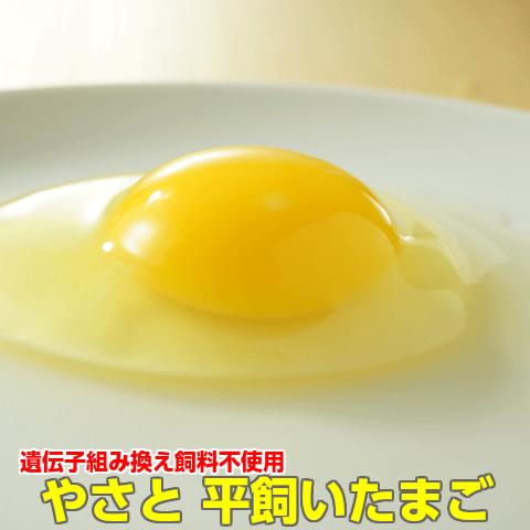 卵 タマゴ やさと平飼い卵 M個 安全安心 産み立て産地直送 たまご お取り寄せ ギフト 玉子 値引き 茨城