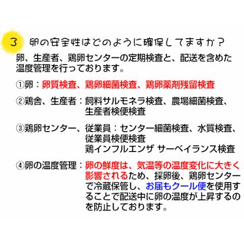 卵 やさと 平飼い 卵 M90個 ギフト 産地直送 安全安心 産み立て タマゴ たまご 玉子 茨城 お取り寄せ｜oishiine-ibaraki｜06