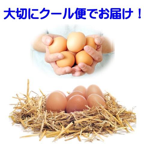 卵 やさと 平飼い 卵 M90個 ギフト 産地直送 安全安心 産み立て タマゴ たまご 玉子 茨城 お取り寄せ｜oishiine-ibaraki｜10