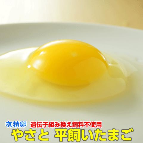 爆買 たまご 卵 平飼い やさと 有精卵 M30個 ギフト 産地直送 タマゴ