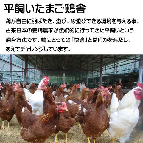 卵 やさと 平飼い 卵 有精卵 M50個 ギフト 産地直送 タマゴ たまご 玉子 茨城 取寄せ チルド 安全安心｜oishiine-ibaraki｜03