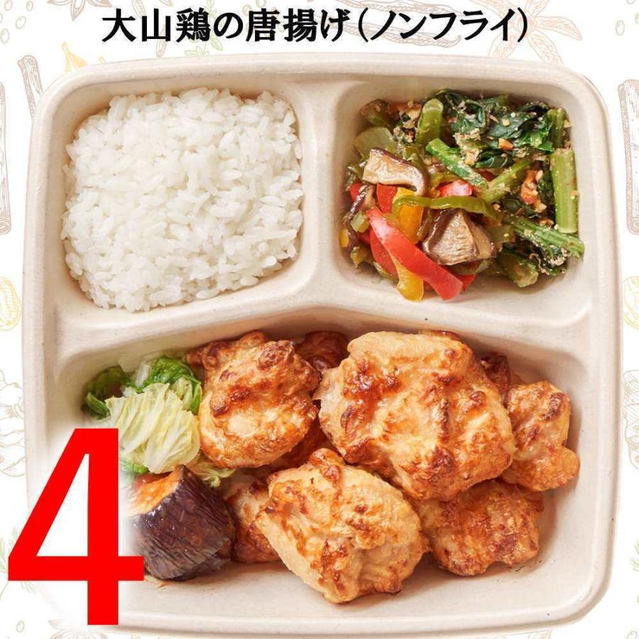 冷凍弁当 冷凍おかず 宅配10食セット 低糖質 高たんぱく質 ダイエット 低塩分 A-10｜oishiiplus｜05