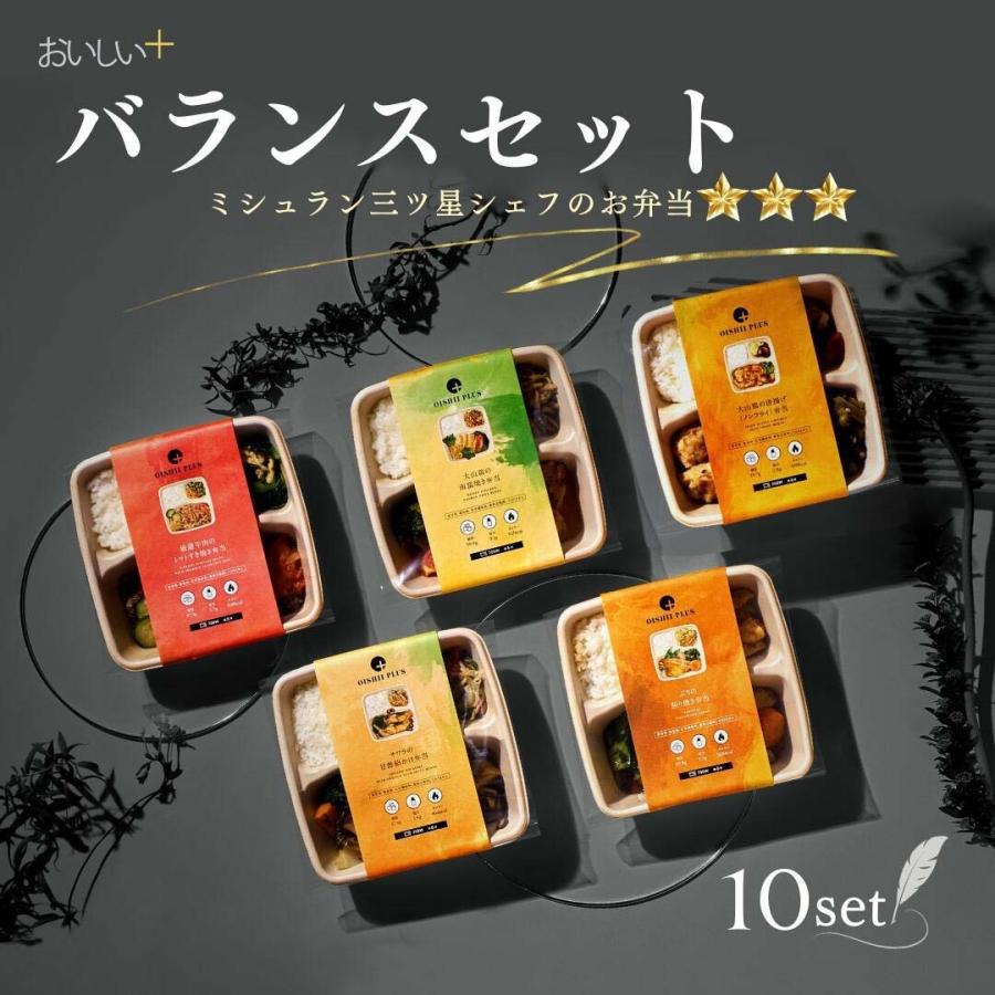 冷凍弁当 冷凍おかず 宅配10食セット 低塩分 低糖質 ダイエット たんぱく質  B-10｜oishiiplus