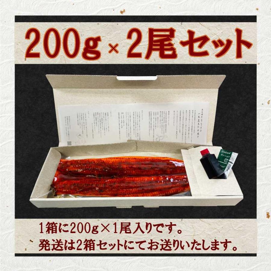 おいしいプラス 国産うなぎ 特大200g×2尾セット 4人前 特大サイズ約30