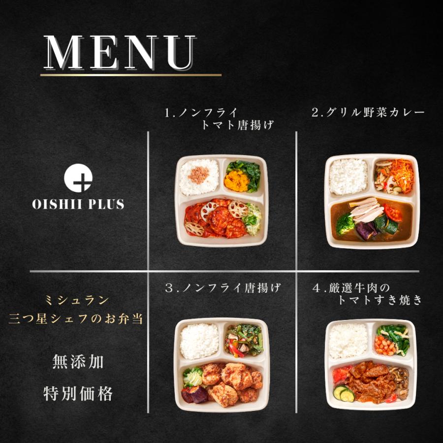 おいしいプラス 冷凍弁当 宅配 お歳暮 ギフト 冷凍食品 健康 おいしいプラス 冷凍弁当 宅配 お歳暮 ギフト 冷凍食品 健康