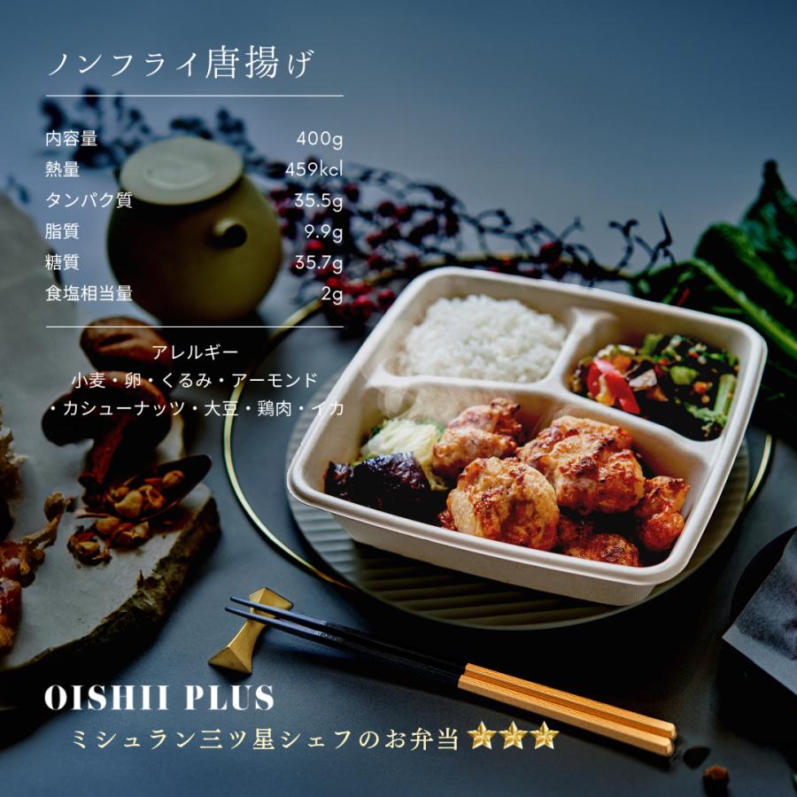 おいしいプラス 冷凍弁当 宅配 お歳暮 ギフト 冷凍食品 健康 おいしいプラス 冷凍弁当 宅配 お歳暮 ギフト 冷凍食品 健康