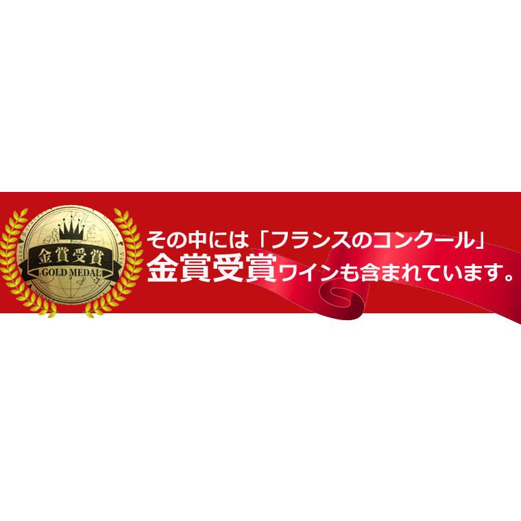 母の日 ワイン ワインセット セット オーガニック 誕生日 オーガニックワイン 送料無料 飲み比べセット ギフト 完全無農薬 辛口 赤ワイン 6本セット｜oishiiwine｜14