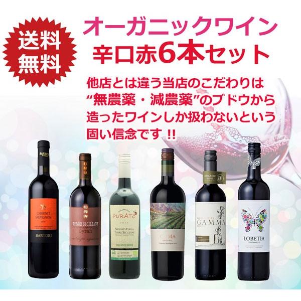 母の日 ワイン ワインセット セット オーガニック 誕生日 オーガニックワイン 送料無料 飲み比べセット ギフト 完全無農薬 辛口 赤ワイン 6本セット｜oishiiwine｜20