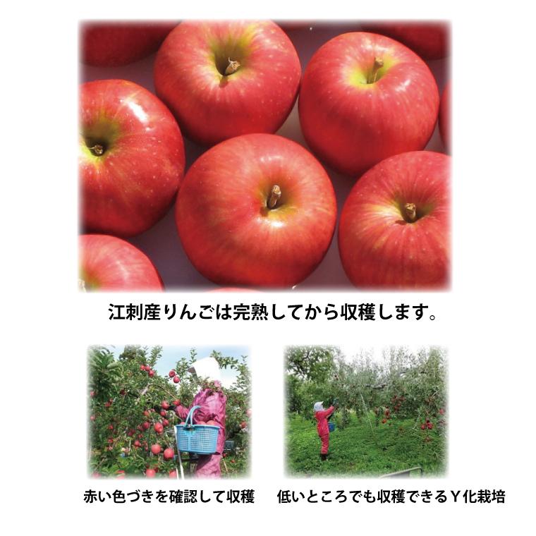 岩手県 江刺産 サンふじ (訳あり、大玉から小玉、約24コから 岩手県 江刺産 サンふじ (訳あり、大玉から小玉、約24コから