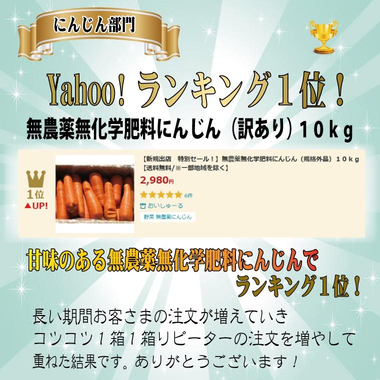 無農薬 無化学肥料 にんじん 訳あり １０ｋｇ 産地希望選択あり 人参 ニンジン 送料無料 一部地域を除く｜oishule｜09