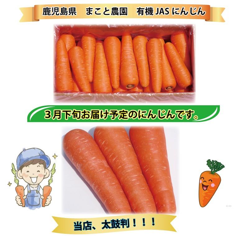 無農薬 無化学肥料 にんじん 訳あり １０ｋｇ 産地希望選択あり 人参 ニンジン 送料無料 一部地域を除く｜oishule｜21