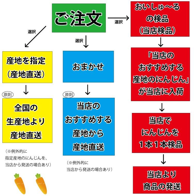 無農薬 無化学肥料 にんじん 訳あり １０ｋｇ 産地希望選択あり 人参 ニンジン 送料無料 一部地域を除く｜oishule｜13