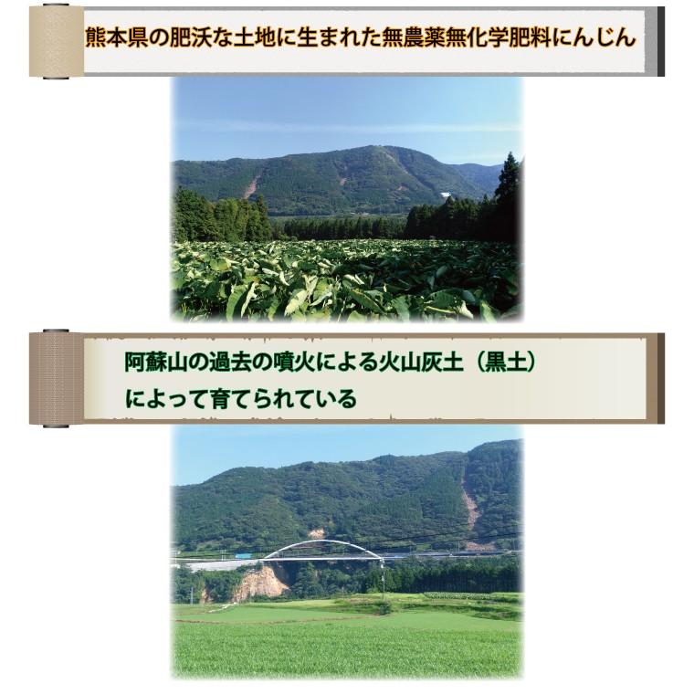 無農薬 無化学肥料 にんじん 訳あり １０ｋｇ 産地希望選択あり 人参 ニンジン 送料無料 一部地域を除く｜oishule｜17