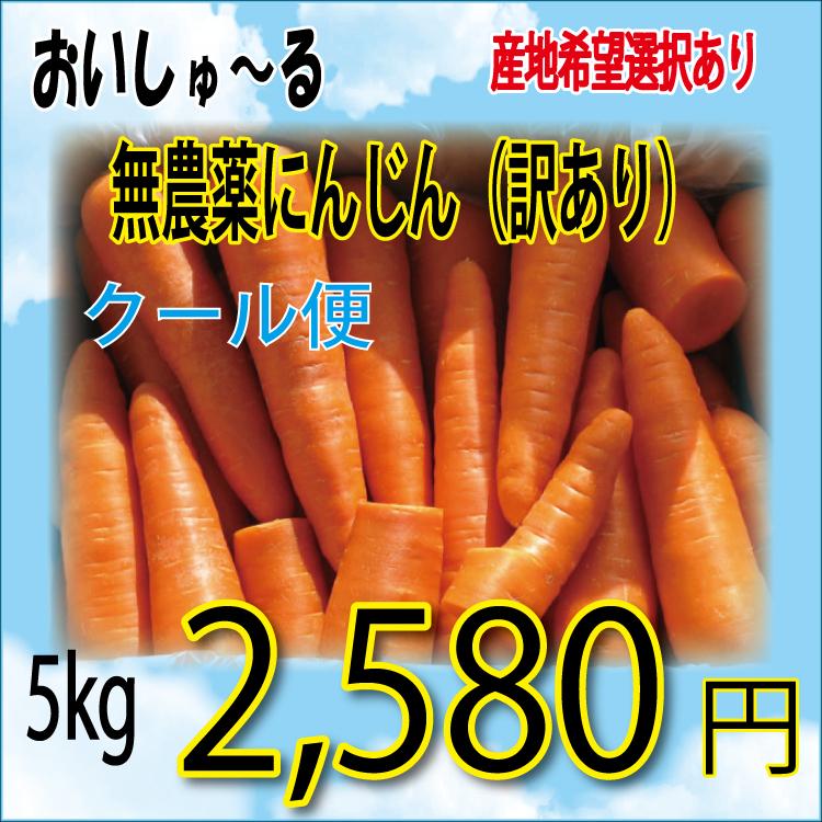 無農薬 無化学肥料 にんじん 訳あり ５ｋｇ 産地希望選択あり 人参 ニンジン 送料無料 一部地域を除く Ninjin 602 おいしゅーる 通販 Yahoo ショッピング