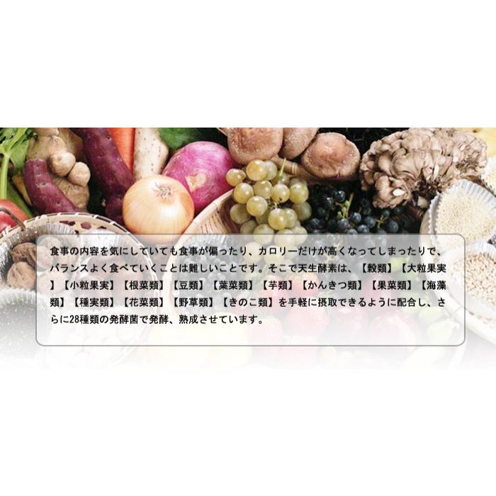 植物発酵食品 天生酵素(3粒×30包)×1箱 酵素 サプリメント 植物発酵食品 天生酵素(3粒×30包)×1箱 酵素 サプリメント