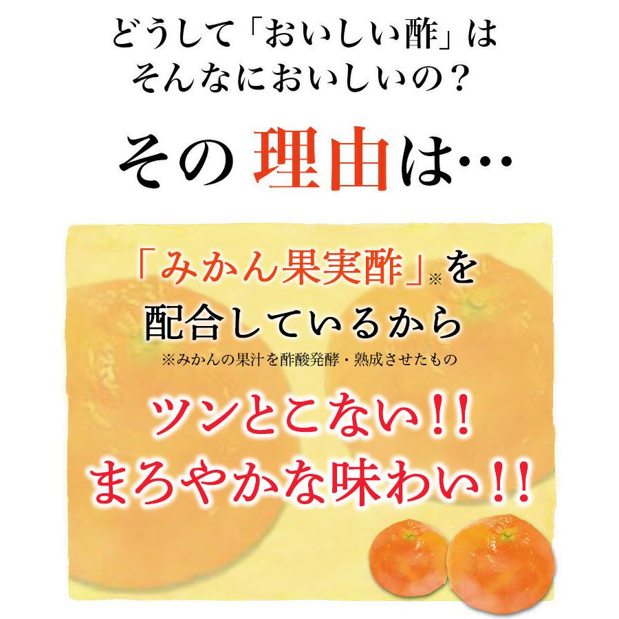 おいしい酢 日本自然発酵 955ml×3本 ギフトセット 酢 調味料  飲む酢 果実酢 料理酢 ピクルス 酢の物 酢漬け｜oisi｜09