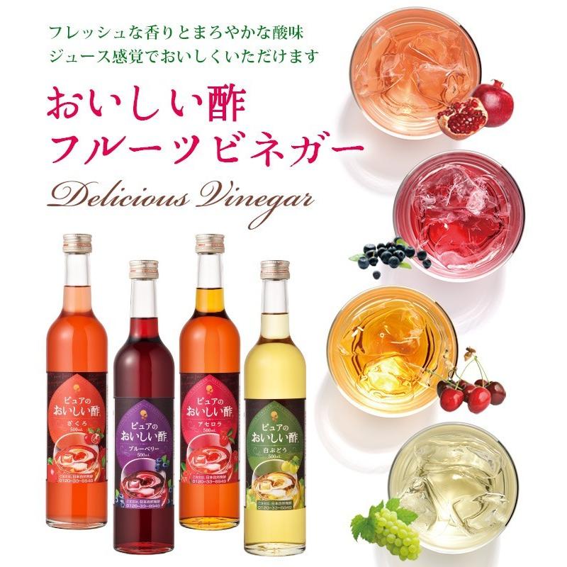 おいしい酢フルーツビネガー ざくろ 日本自然発酵 500ml×1本 お酢飲料 フルーツビネガー 果実酢 飲む酢 ビネガードリンク ドリンク｜oisi｜03