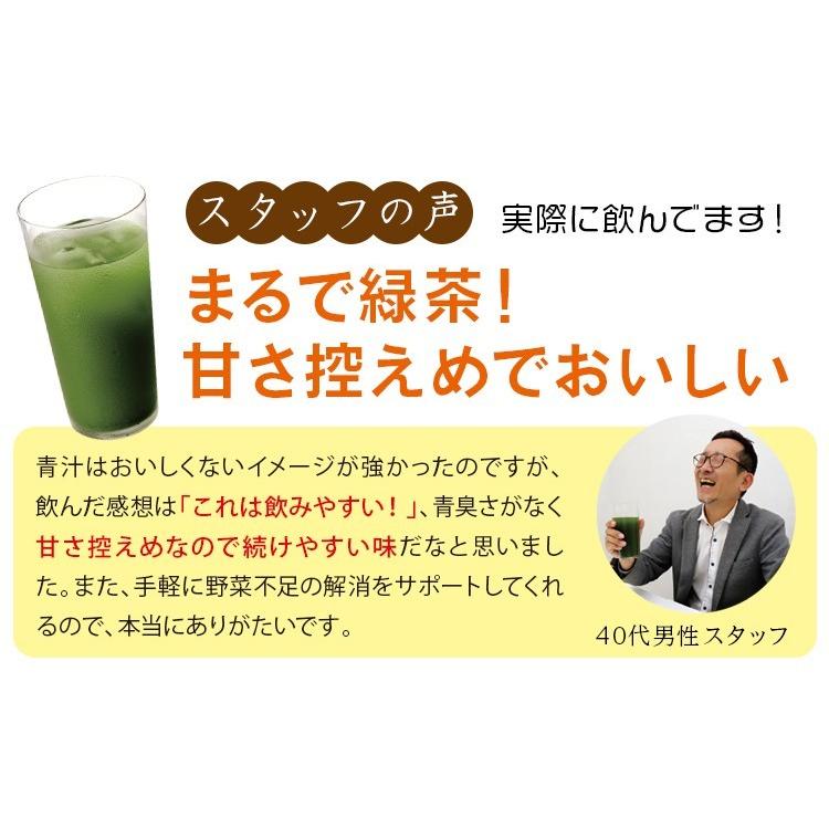 おいしい発酵青汁 日本自然発酵 （3g×30包）×1箱 酵素 サプリメント