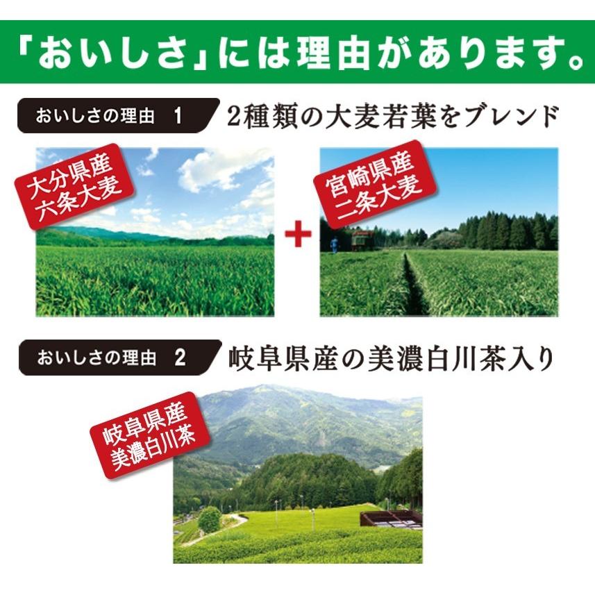 おいしい発酵青汁 日本自然発酵 （3g×30包）×1箱 酵素 サプリメント