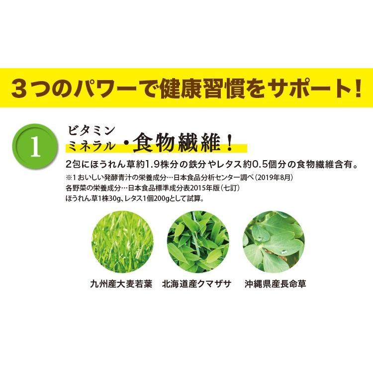 おいしい発酵青汁 日本自然発酵 （3g×30包）×1箱 酵素 サプリメント