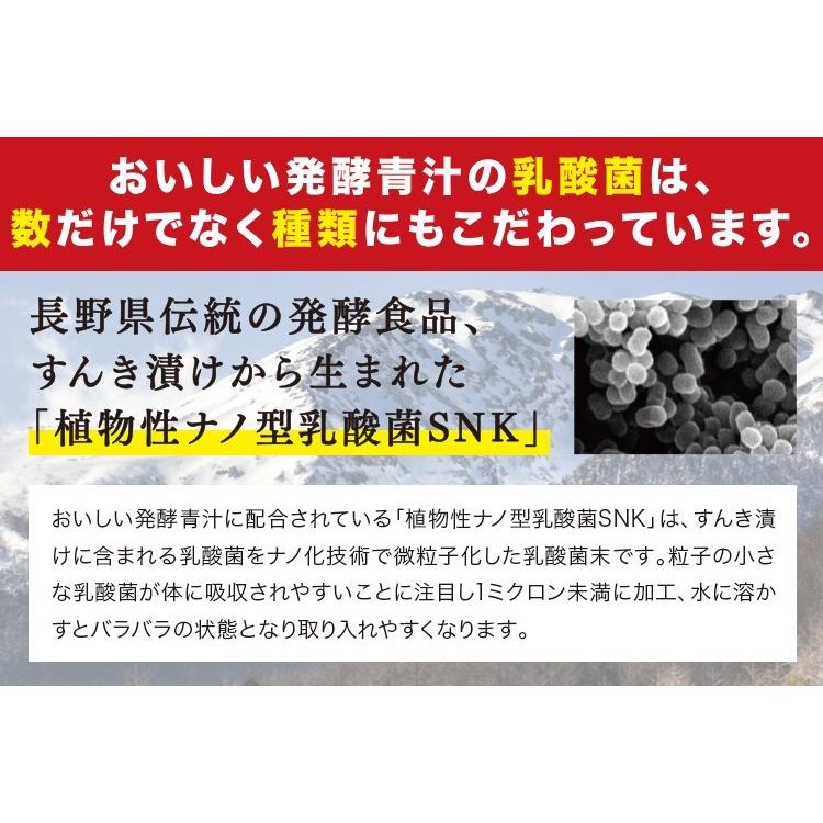 おいしい発酵青汁 日本自然発酵 （3g×30包）×1箱 酵素 サプリメント