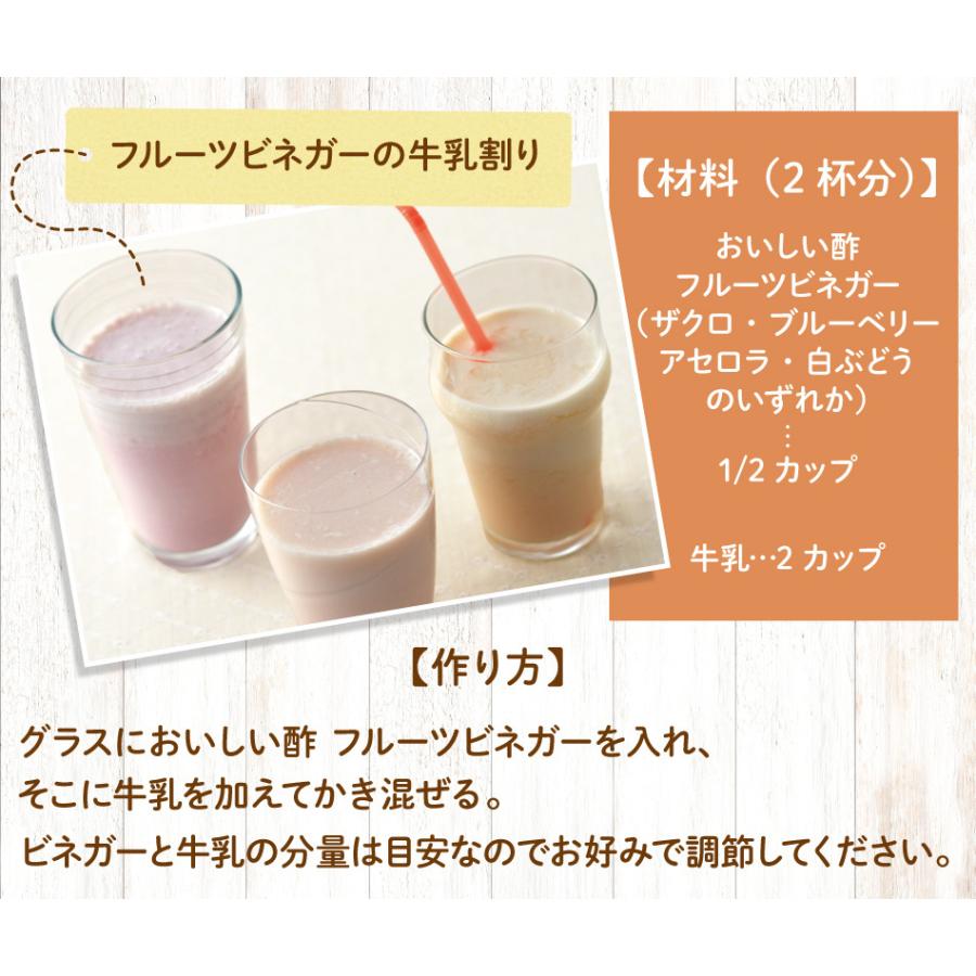 おいしい酢フルーツビネガー 白ぶどう 日本自然発酵 500ml×6本 お酢飲料 フルーツビネガー 果実酢 飲む酢 ビネガードリンク ドリンク｜oisi｜05