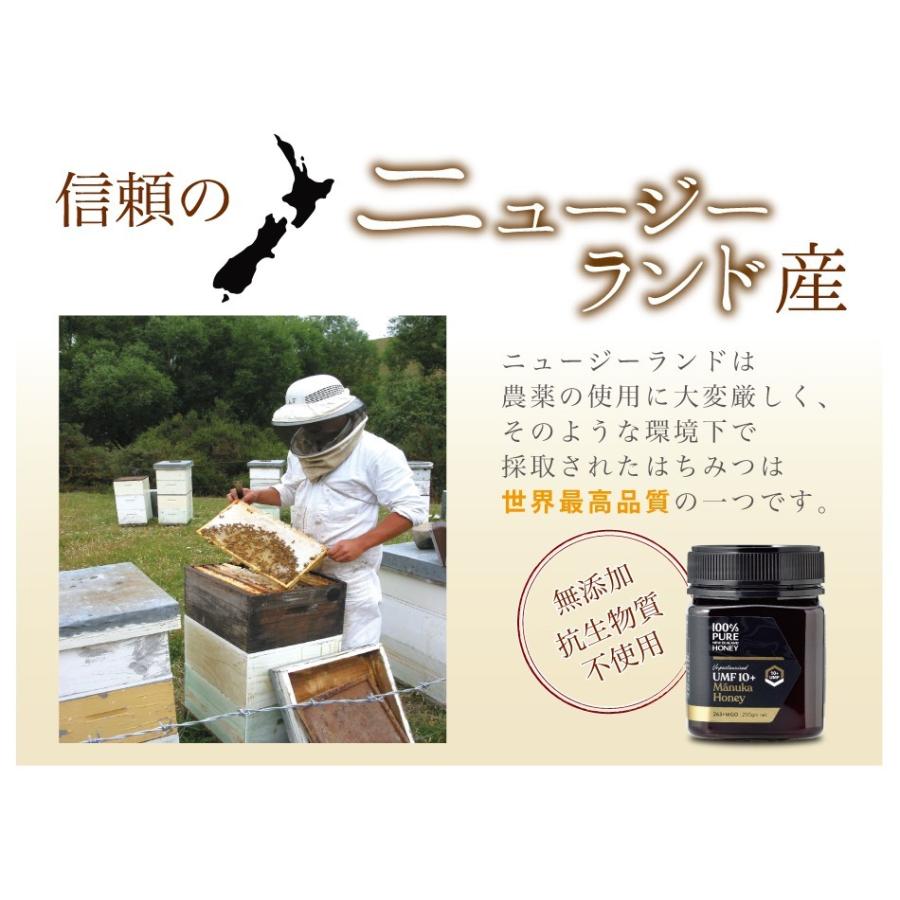マヌカハニーUMF10+ 250g×1個 食品 : 日本自然発酵 ヤフー店 - 通販