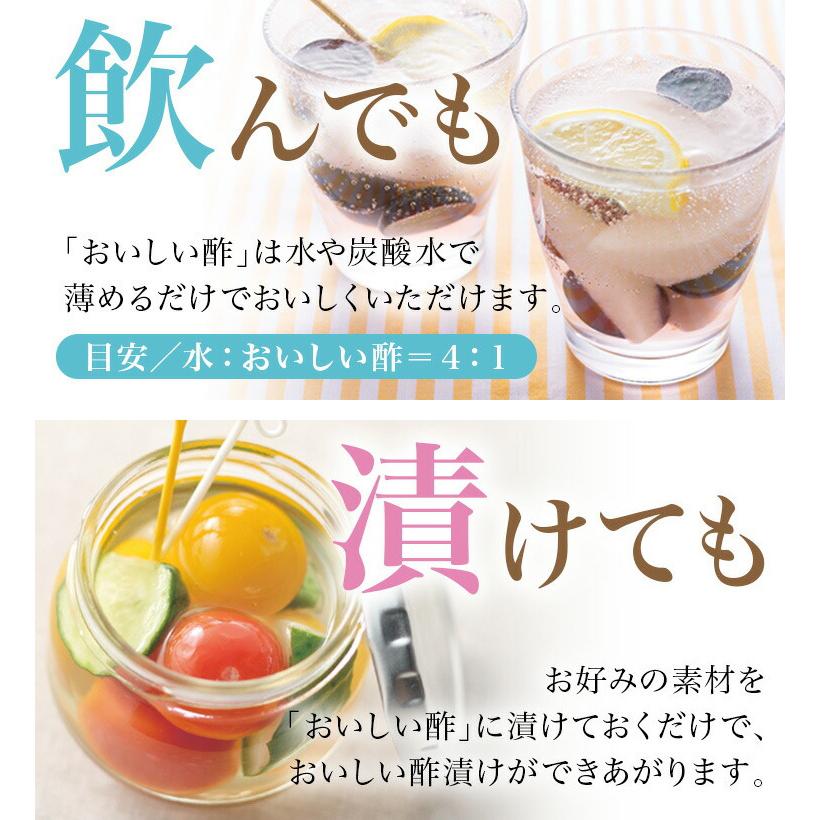 おいしい酢 日本自然発酵 955ml×12本 レシピブック1冊付き! ギフトセット 酢 調味料 飲む酢 果実酢 料理酢 ピクルス 酢の物 酢漬け｜oisi｜09