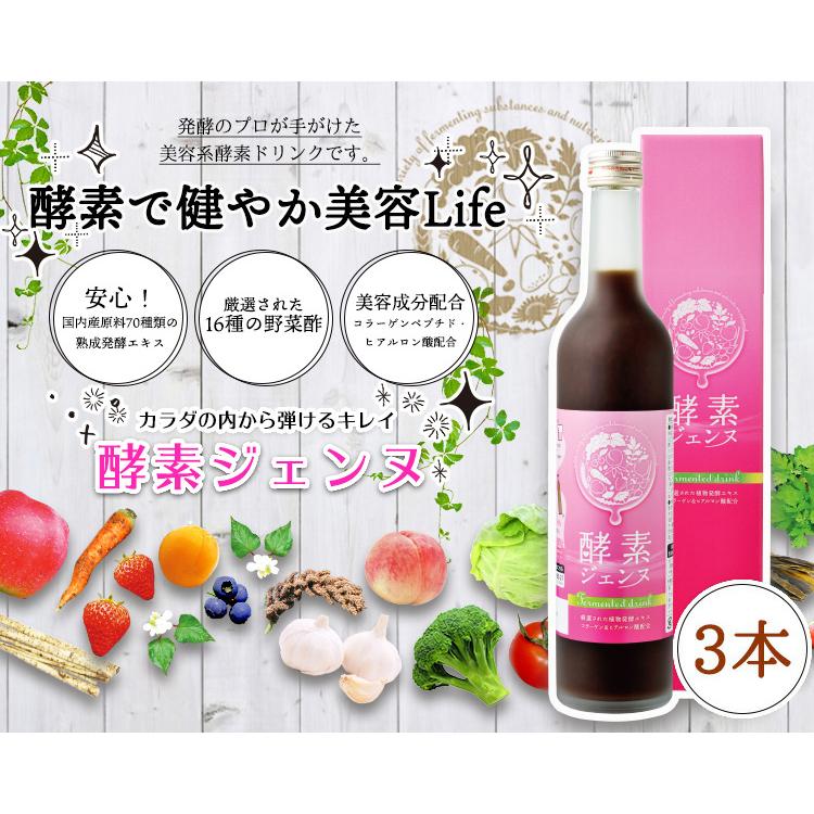 【新品】酵素ドリンク 酵素ジェンヌ 日本自然発酵 500ml×3本 酵素 サプリメント : 日本自然