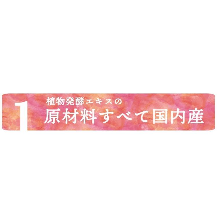 酵素ジェンヌ 日本自然発酵 500ml×3本 酵素 サプリメント : 日本自然