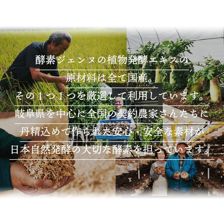 酵素ジェンヌ 日本自然発酵 500ml×3本 酵素 サプリメント : 日本自然