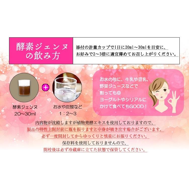 酵素ジェンヌ 日本自然発酵 500ml×1本 酵素 サプリメント : 日本自然