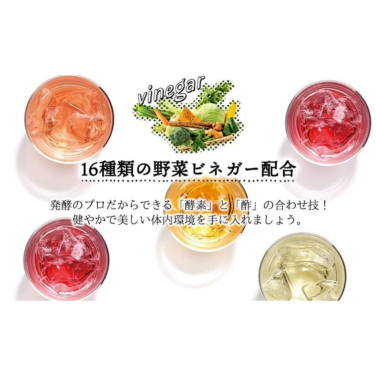 酵素ジェンヌ 日本自然発酵 500ml×1本 酵素 サプリメント : 日本自然