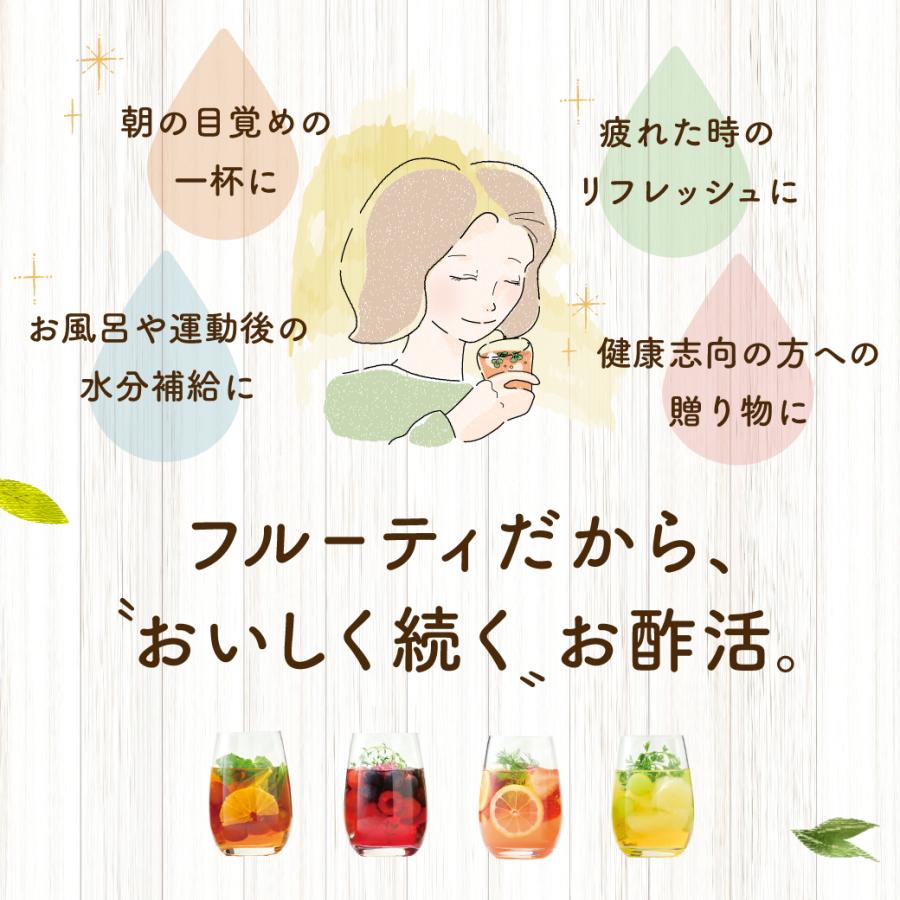 おいしい酢フルーツビネガー 白ぶどう 日本自然発酵 500ml×1本 お酢