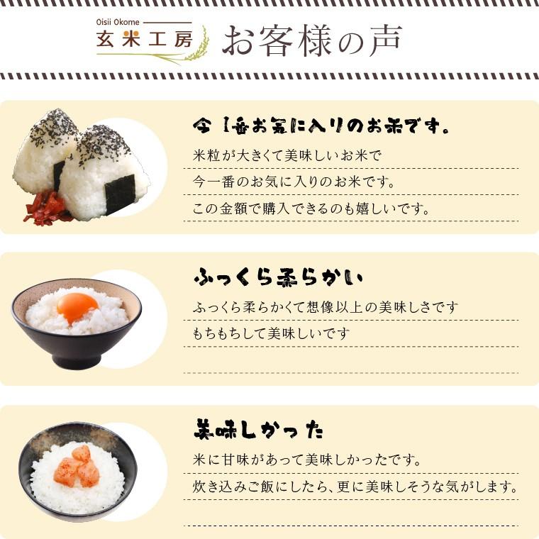 令和6年 お米 10kg 福島県産 天のつぶ 無洗米 送料無料 精米 米 令和6年 お米 10kg 福島県産 天のつぶ 無洗米 送料無料 精米 米