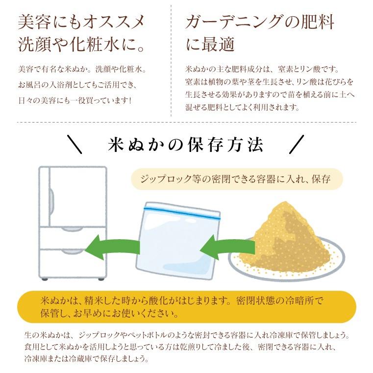 福島産 こしひかり 20kg 新米 令和7年 精米 送料無料 米 20kg 福島県産 コシヒカリ 5kg×4袋 令和7年産 お米 20kg 送料無料