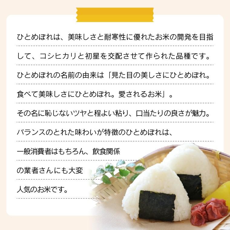 令和7年 お米 20kg 福島県産 ひとめぼれ 無洗米 送料無料 精米 米