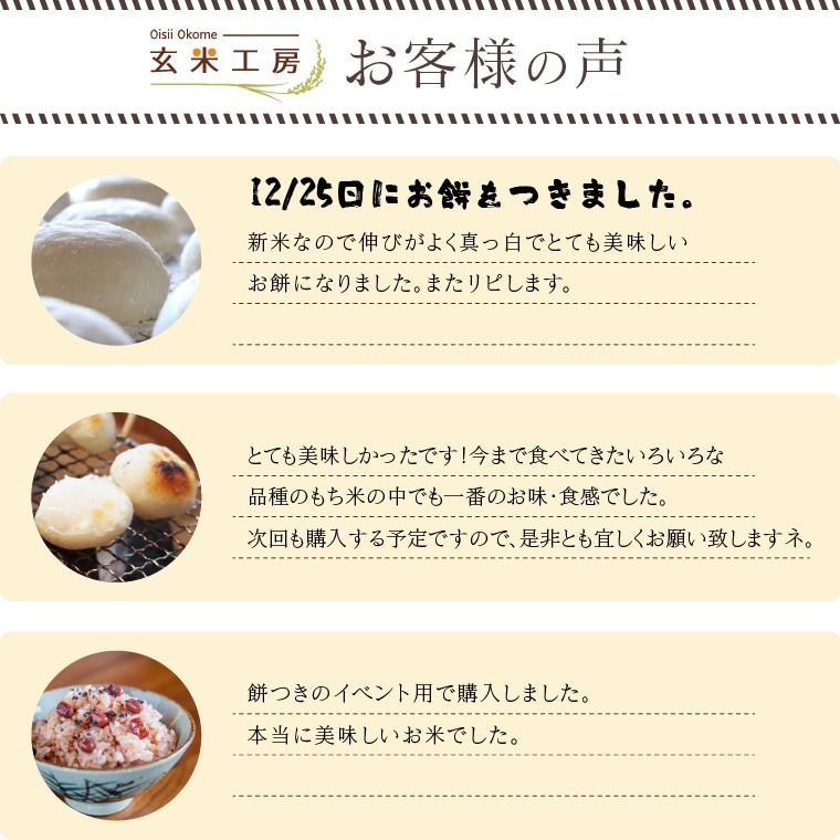 令和7年 お米 30kg もち米 福島県産 こがねもち 送料無料 精米 