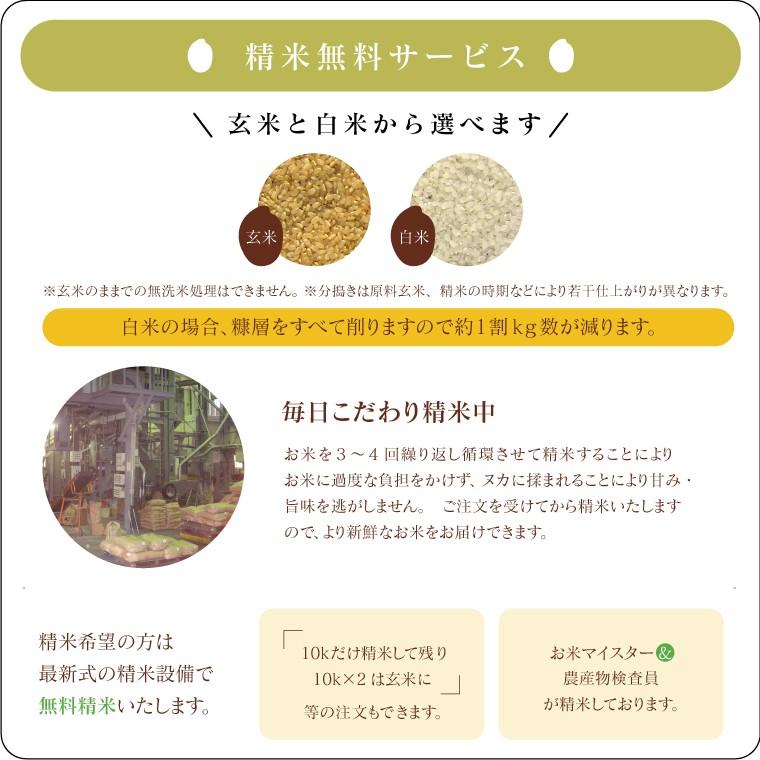 令和7年 お米 20kg もち米 福島県産 こがねもち 送料無料 精米