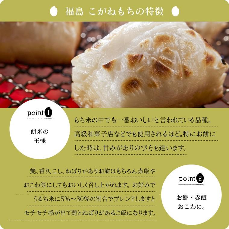 令和7年 お米 20kg もち米 福島県産 こがねもち 送料無料 精米