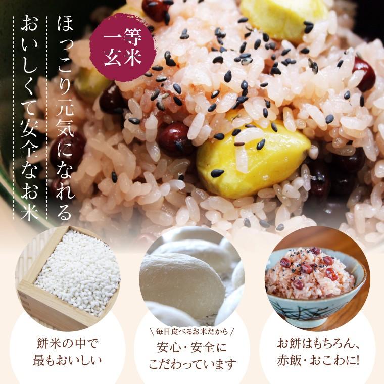令和7年 お米 10kg もち米 福島県産 こがねもち 送料無料 精米