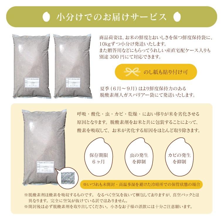 米 お米 20kg 農家蔵出し米 玄米 ブレンド米 訳あり 無洗米 送料無料