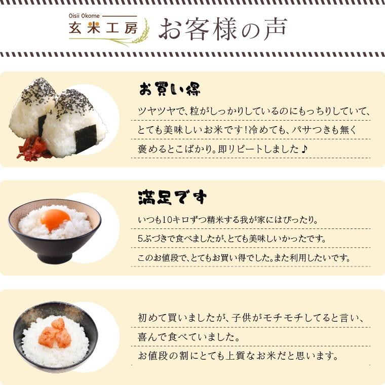 米 お米 20kg 農家蔵出し米 玄米 ブレンド米 訳あり 無洗米 送料無料 