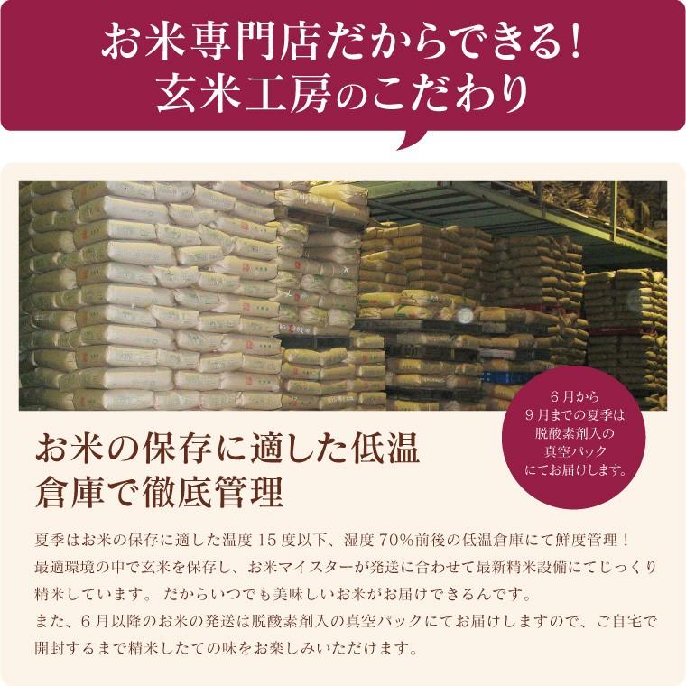 送料無料/新品 玄米 福島の農家蔵出し米 ブレンド米 5kg 5kg×1
