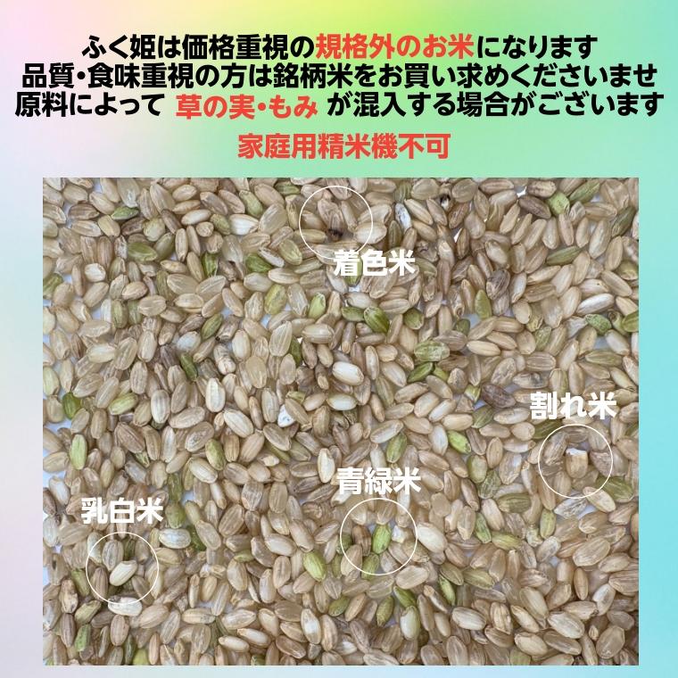 米 お米 10kg ふく姫 玄米 ブレンド米 セール 訳あり 無洗米 米 お米 10kg ふく姫 玄米 ブレンド米 セール 訳あり 無洗米