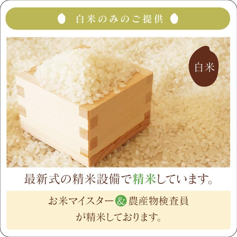 米 お米 30kg ブレンド米 訳あり 真心米 送料無料 小粒米 米 お米 30kg ブレンド米 訳あり 真心米 送料無料 小粒米