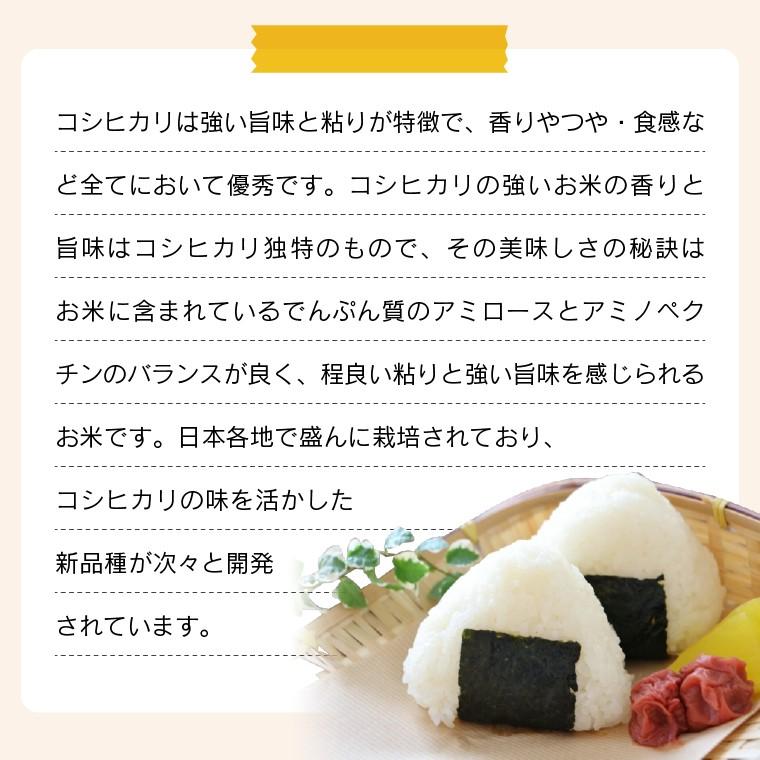 令和6年 お米 10kg 福島県産 コシヒカリ 無洗米 送料無料 精米 令和6年 お米 10kg 福島県産 コシヒカリ 無洗米 送料無料 精米